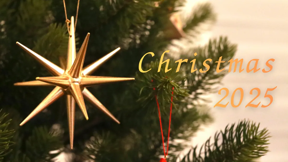 わが家のクリスマス準備！2025年はあのツリーとオーナメントが新居に仲間入り